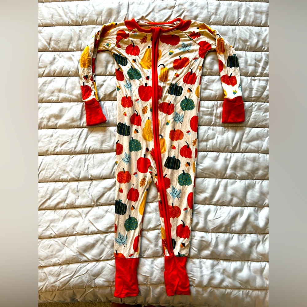 Little Sleepies Autumn Harvest 12-18 month zippie